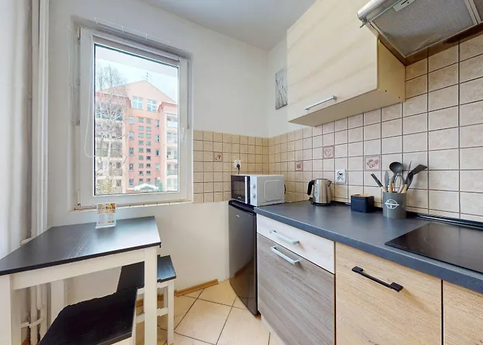 Magnolia Deluxe Center Anielewicza Appartement Varsovie